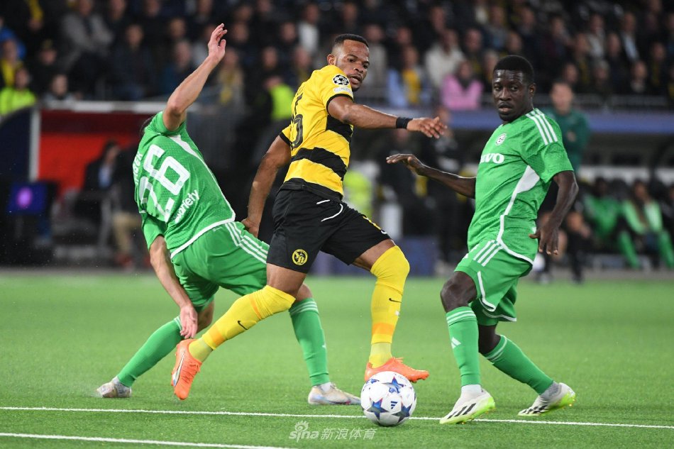 努力的结晶 努力的结晶